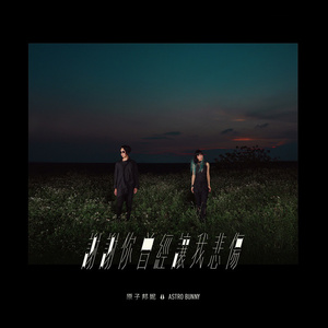 阴茎进阴道视频
