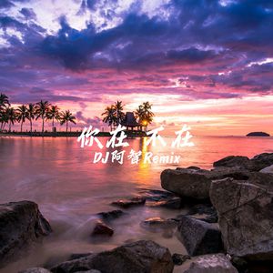 阴茎进阴道视频
